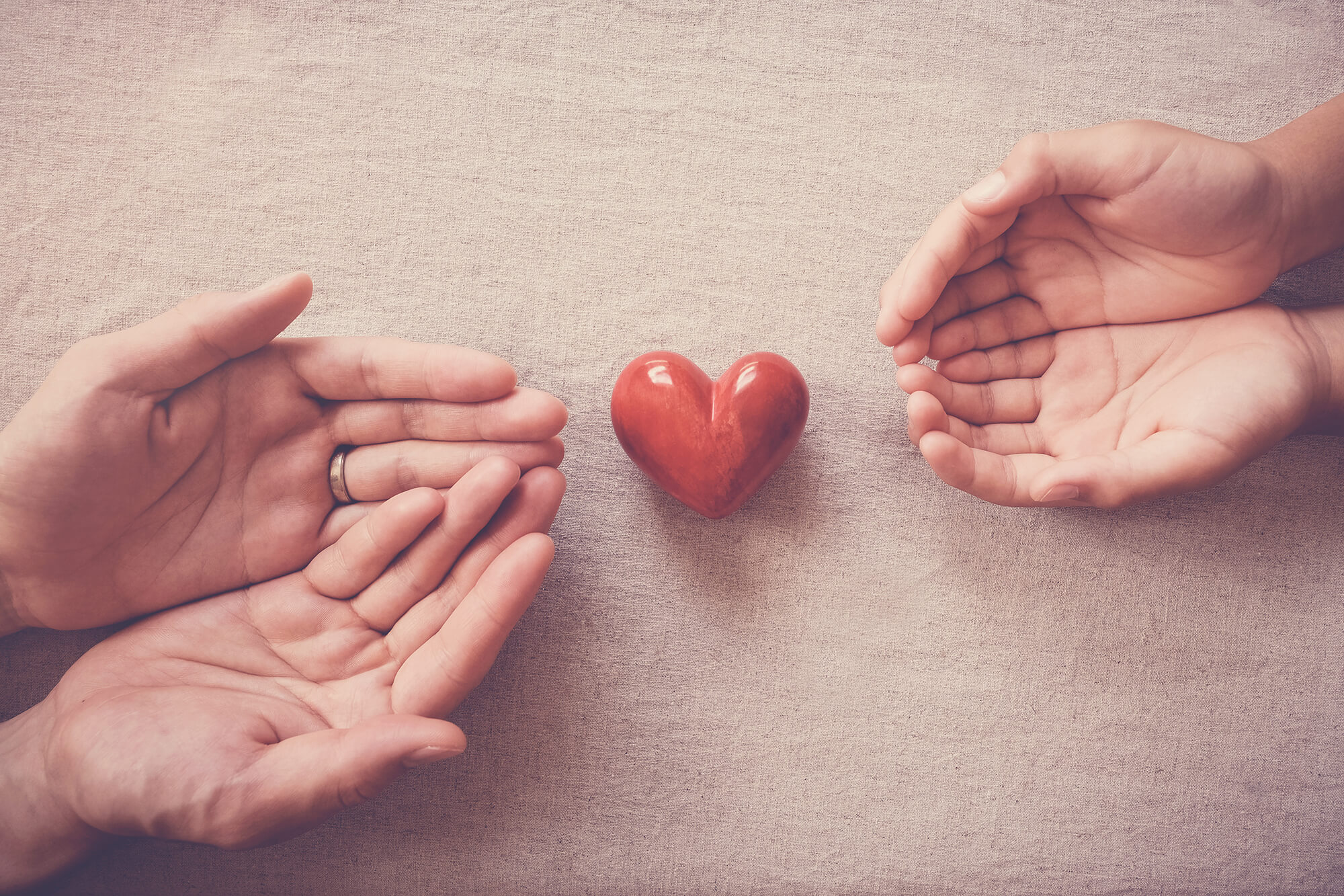 Giving Back To The Community | Fortitude Financial In WA