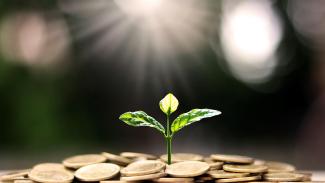 ESG Sustainable Investing Services | Fortitude Financial